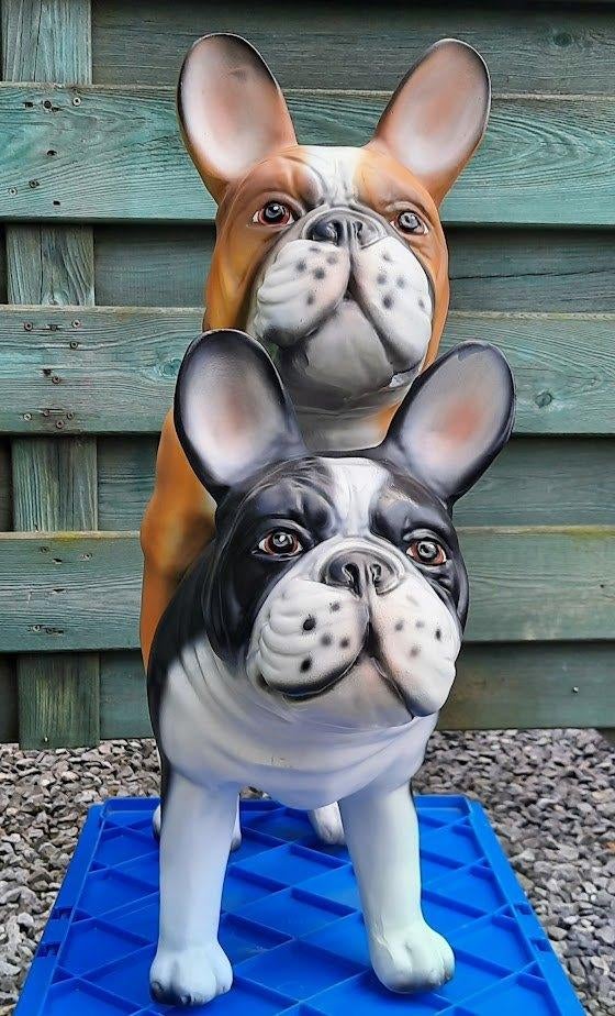 Franse bulldog stoute honden,foei dogs,voor in &out, Ophalen, Nieuw, Dier