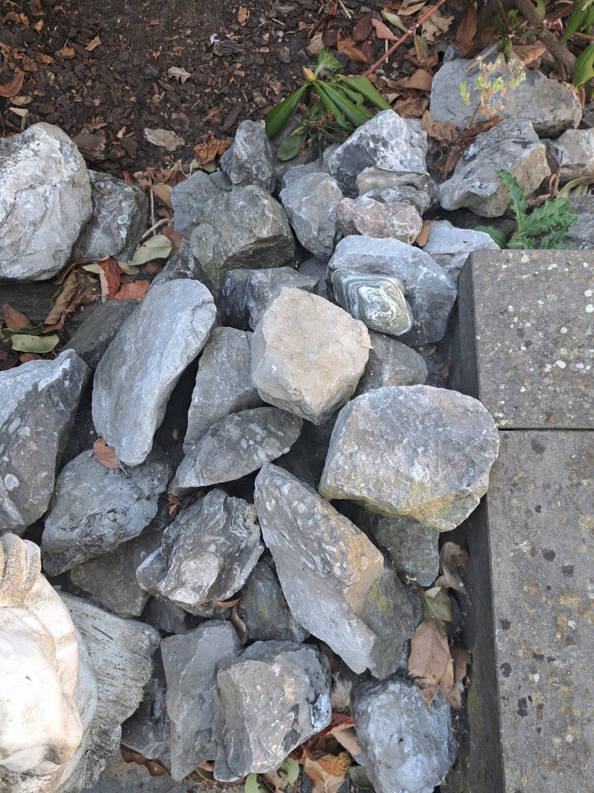 Decoratieve rotsen en keien voor tuin Grootte; 10 tot 20cm, Ophalen, Overige materialen, Gebruikt, Kei