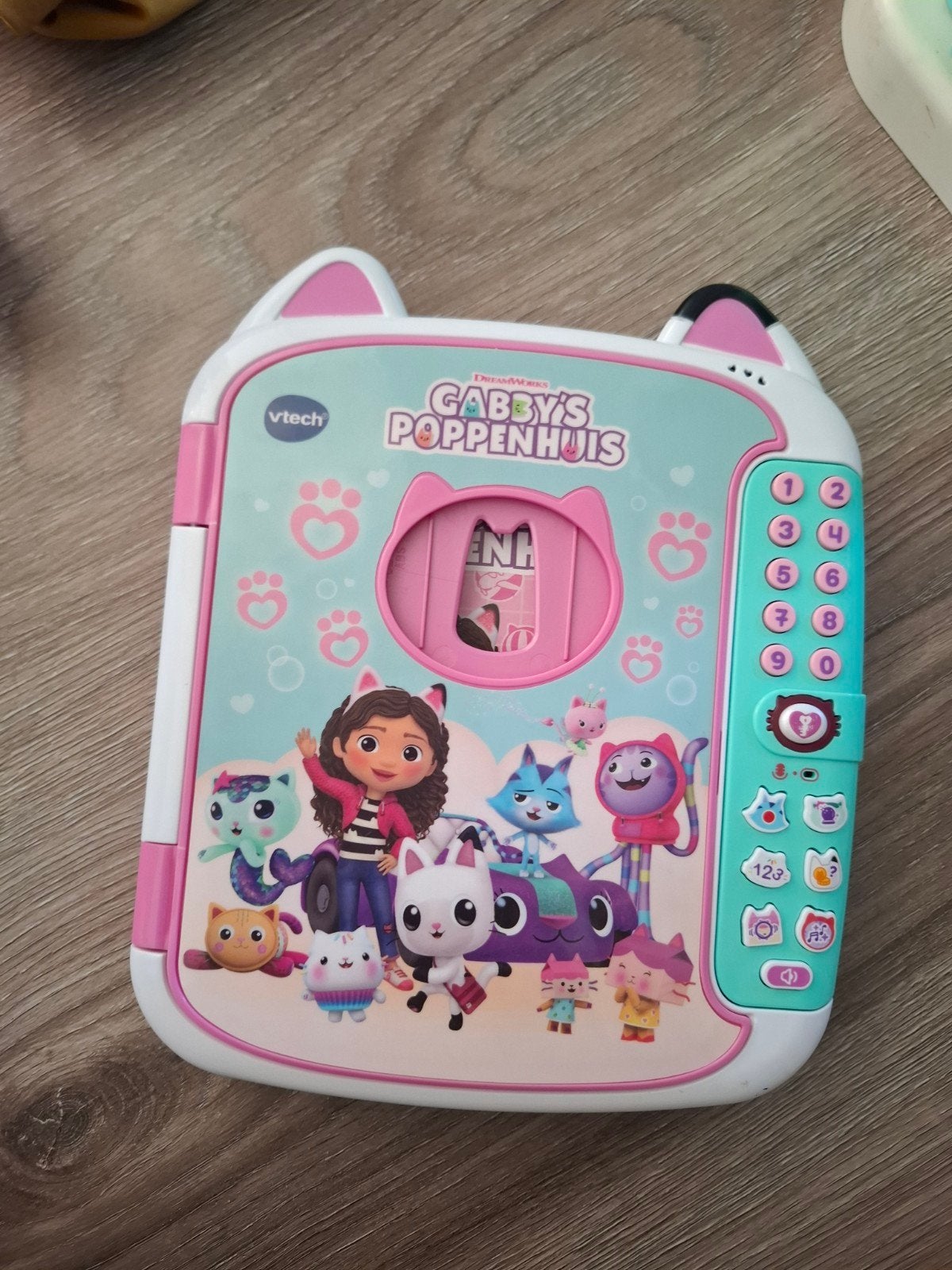 Vtech dagboek Gaby Dollhouse, Ophalen, Gebruikt