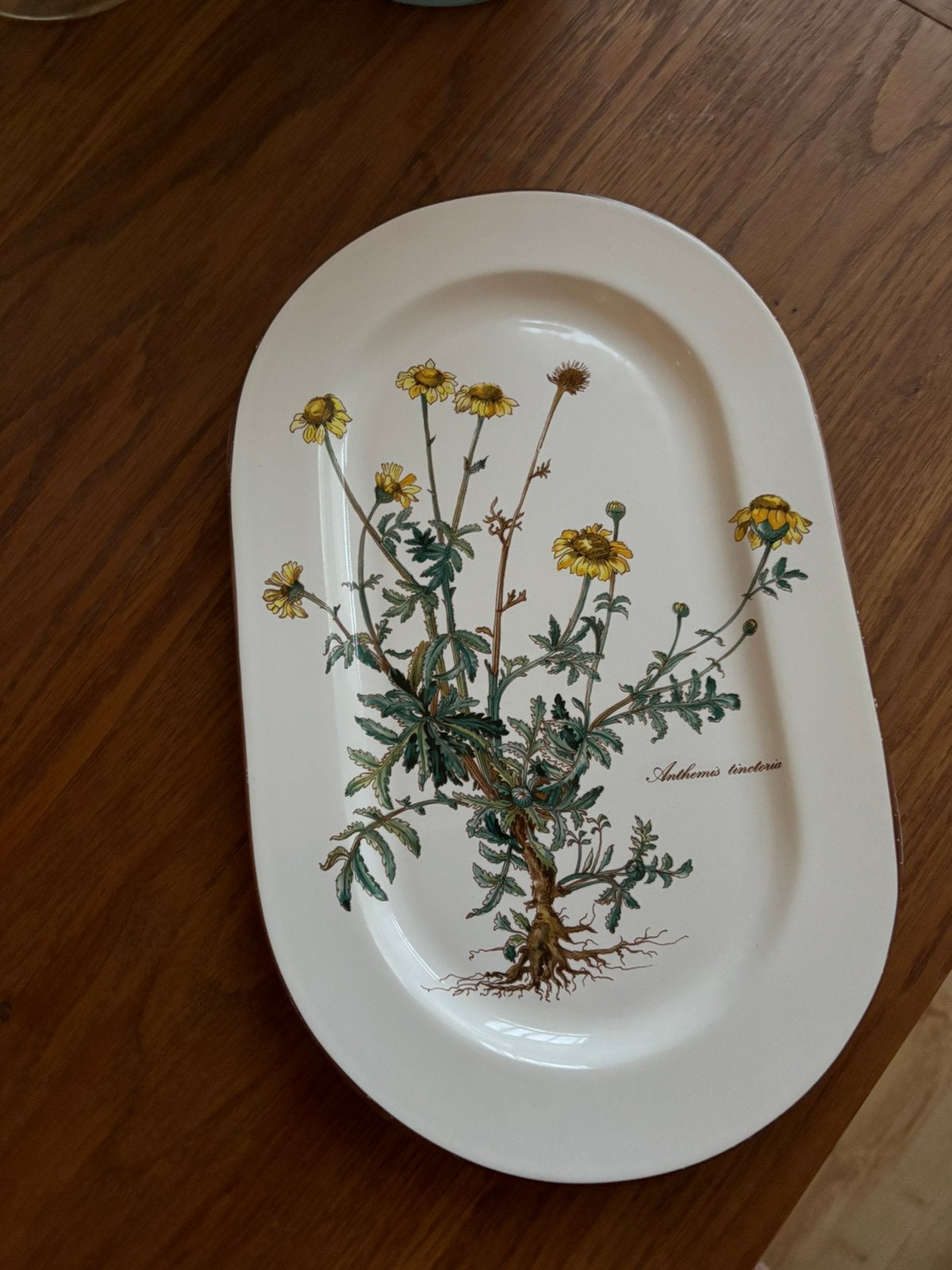 Villeroy & Boch Botanica, gele kamille, Verzenden