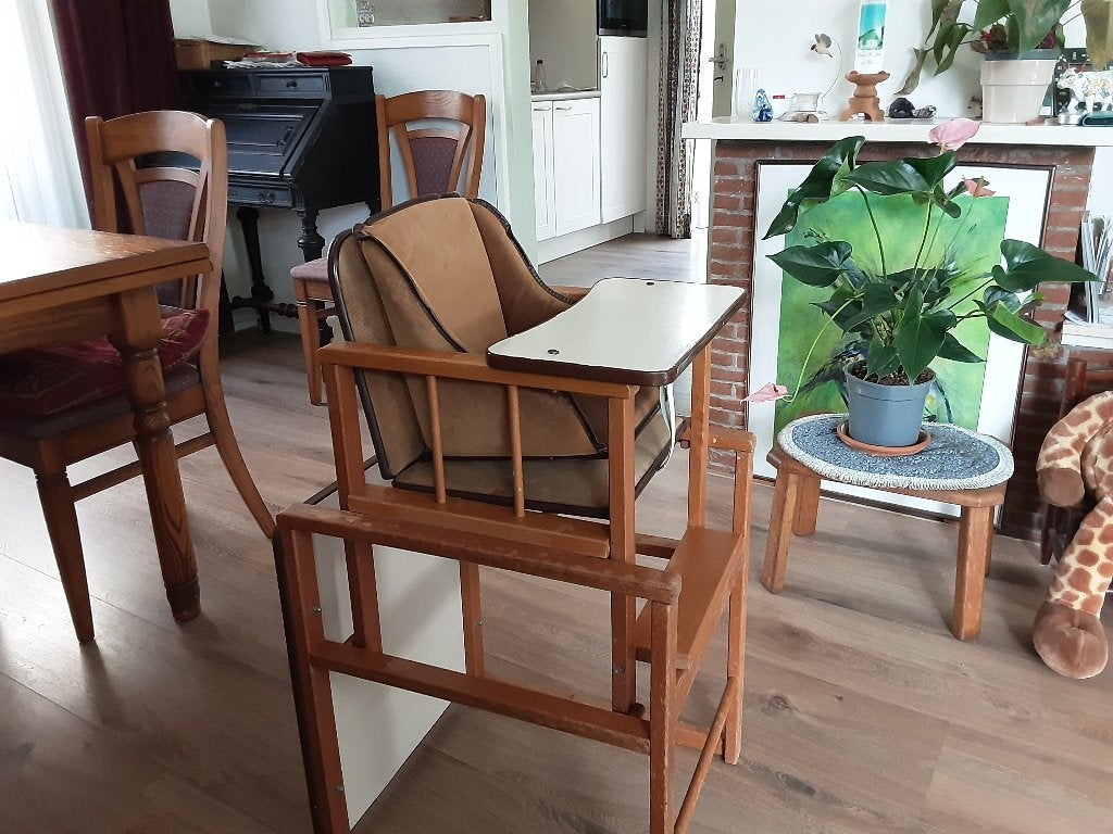 Kinderstoel, Ophalen, Gebruikt, Overige typen, Stoelverkleiner