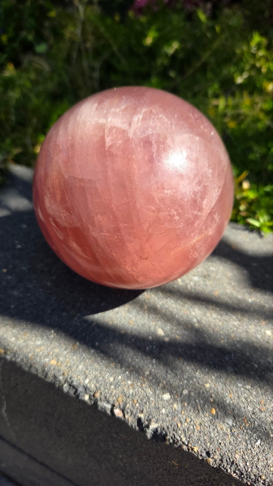 AA rozenkwarts bol groot, Ophalen of Verzenden