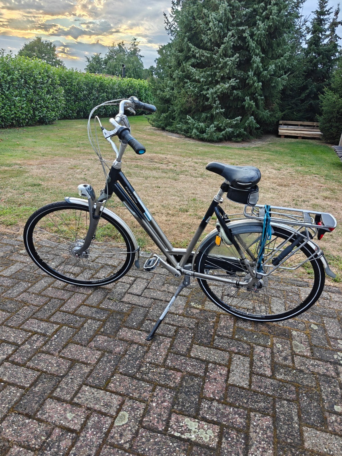 Degelijke Gazelle Chamonix Excellent stationfiets, Ophalen, Versnellingen, Gazelle, 53 tot 56 cm
