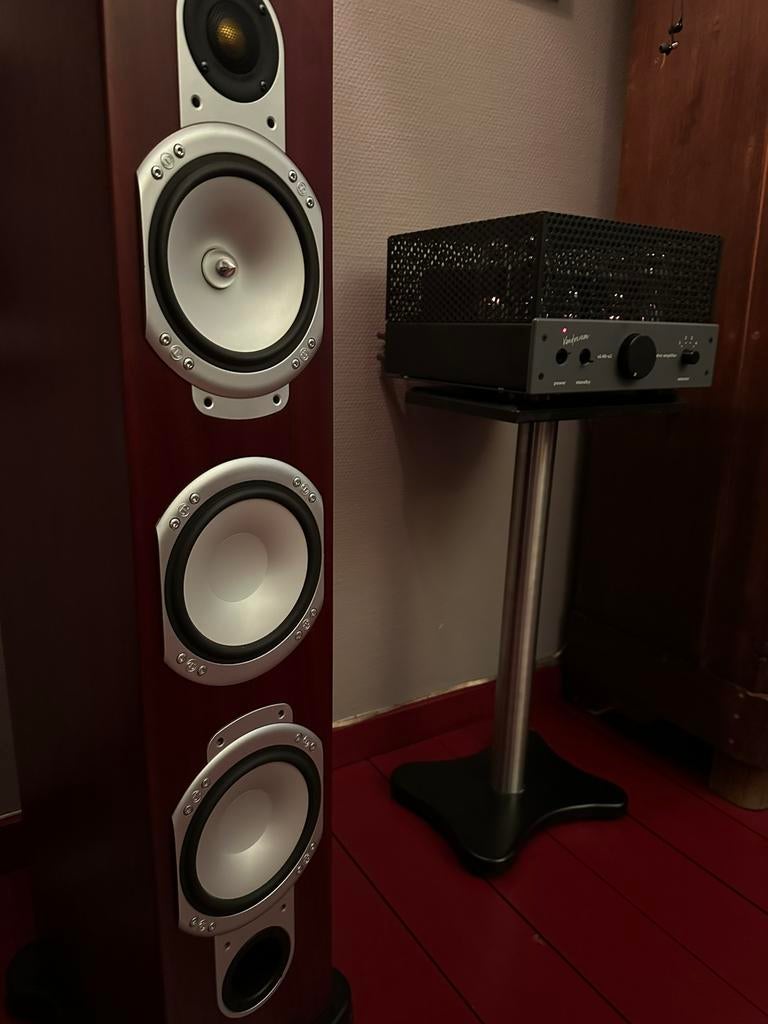 van der Veen uL40-s2 Buizenversterker met Monitor Audio RS8, Zo goed als nieuw, 120 watt of meer, Front, Rear of Stereo speakers