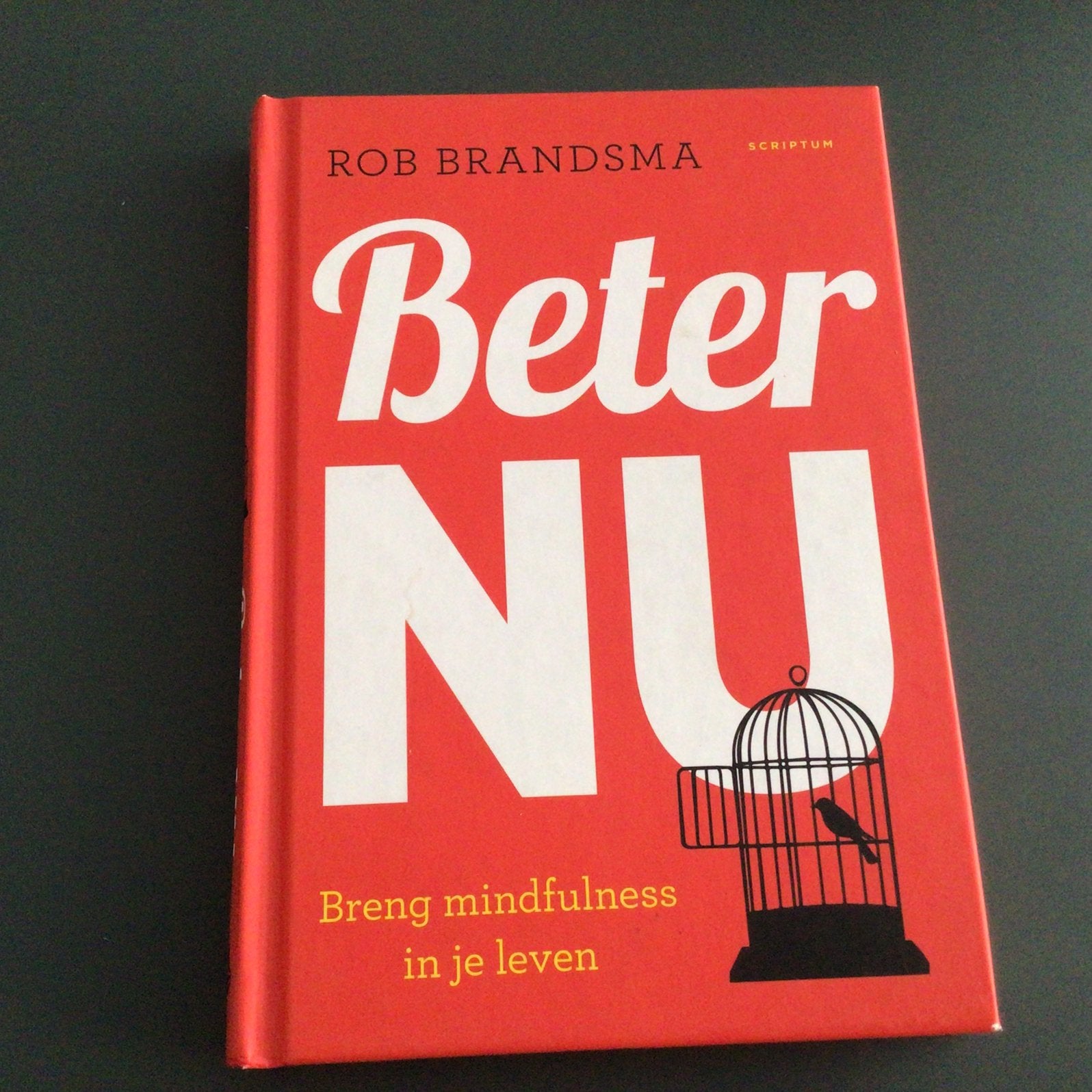 Rob Brandsma - Beter nu, Rob Brandsma, Ophalen of Verzenden, Zo goed als nieuw, Instructieboek