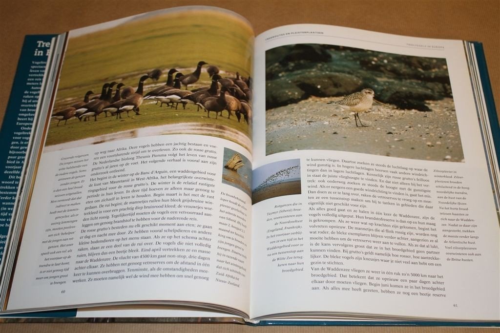 Trekvogels in Europa. Routes en trekgedrag., Boeken, Ophalen of Verzenden, Gelezen, Vogels