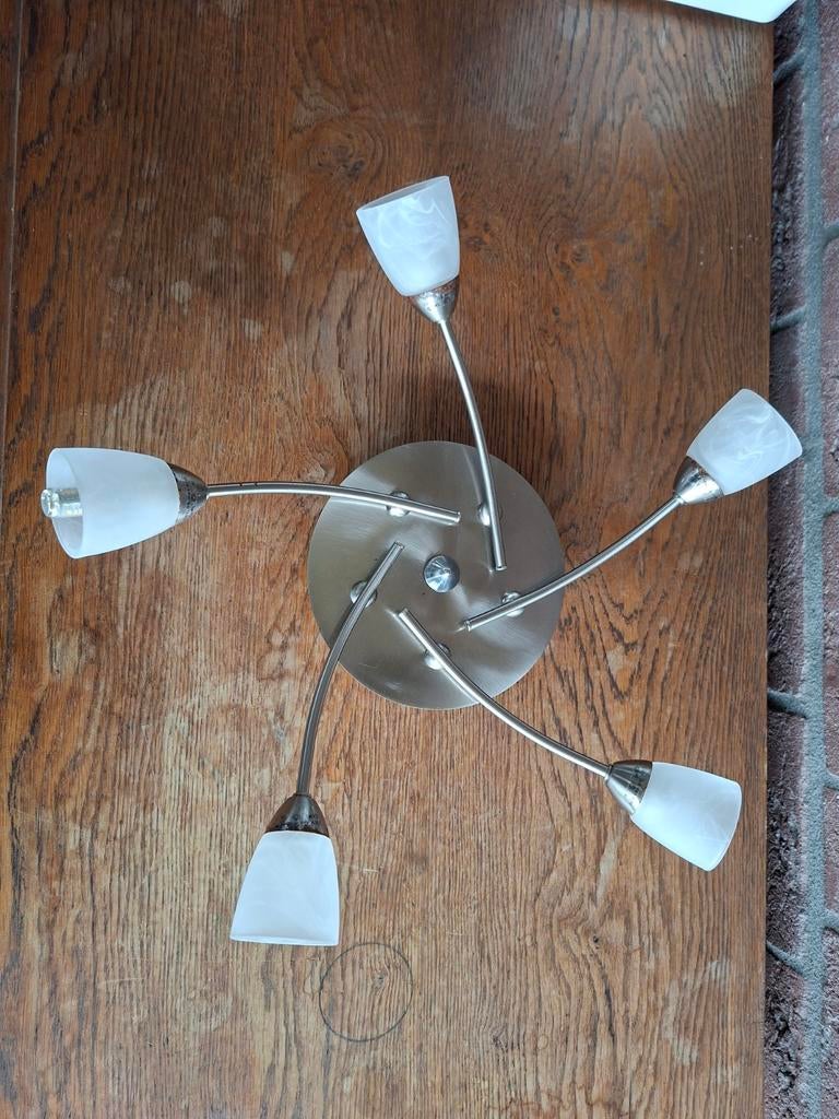Plafondlamp Paul Neuhaus 5x G9/40W - Fendt Caravan, Ophalen of Verzenden, Gebruikt