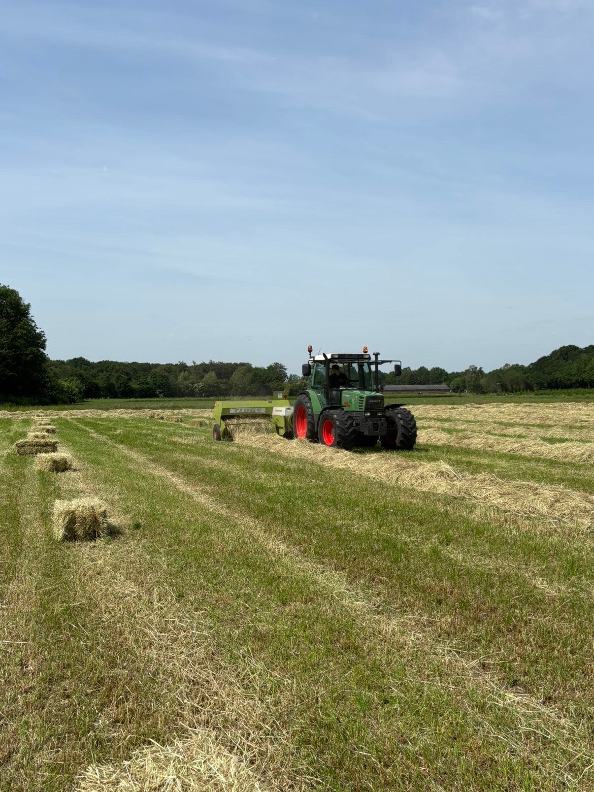 Hooi kleine pakjes A kwaliteit stofarm met analyse️, Dieren en Toebehoren, Dierenvoeding, Ophalen of Verzenden, Vee