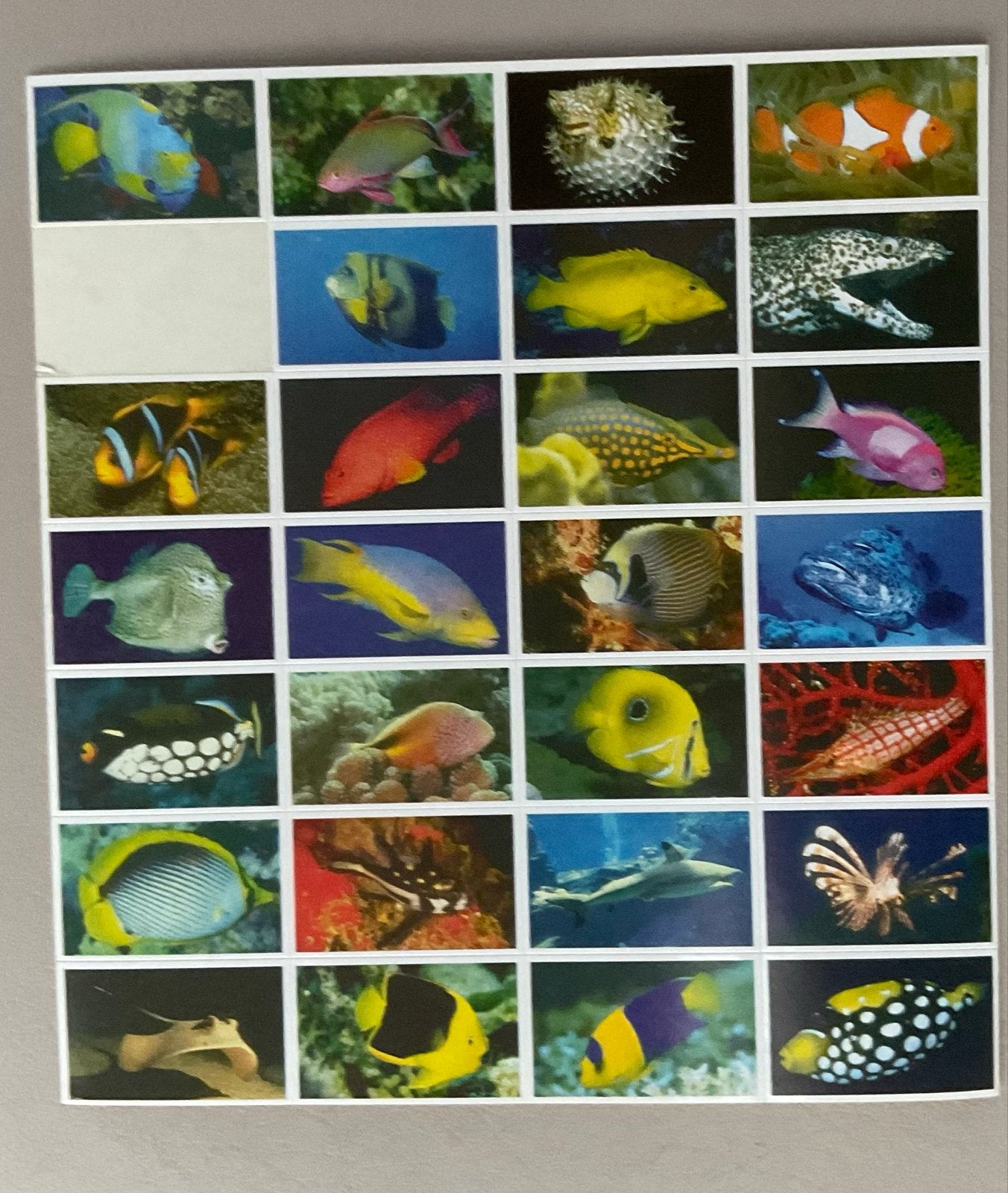 Stammetjes 34 Beloningsstickers vissen incompleet vintage, Ophalen of Verzenden, Nieuw, Meerdere stickers