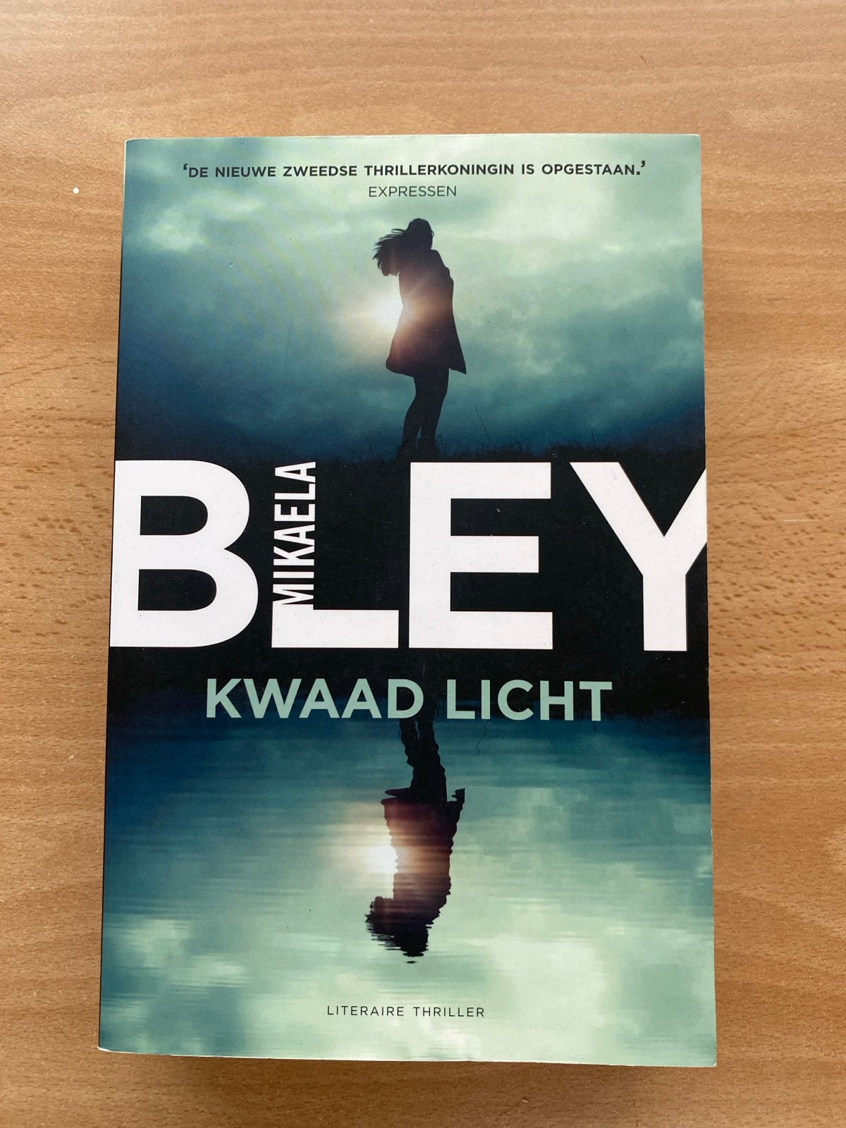 Mikaela Bley - Kwaad Licht (Literaire Thriller), Ophalen of Verzenden, Zo goed als nieuw, Scandinavië