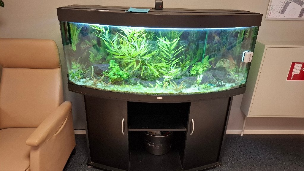 Aquarium, Ophalen, Gebruikt
