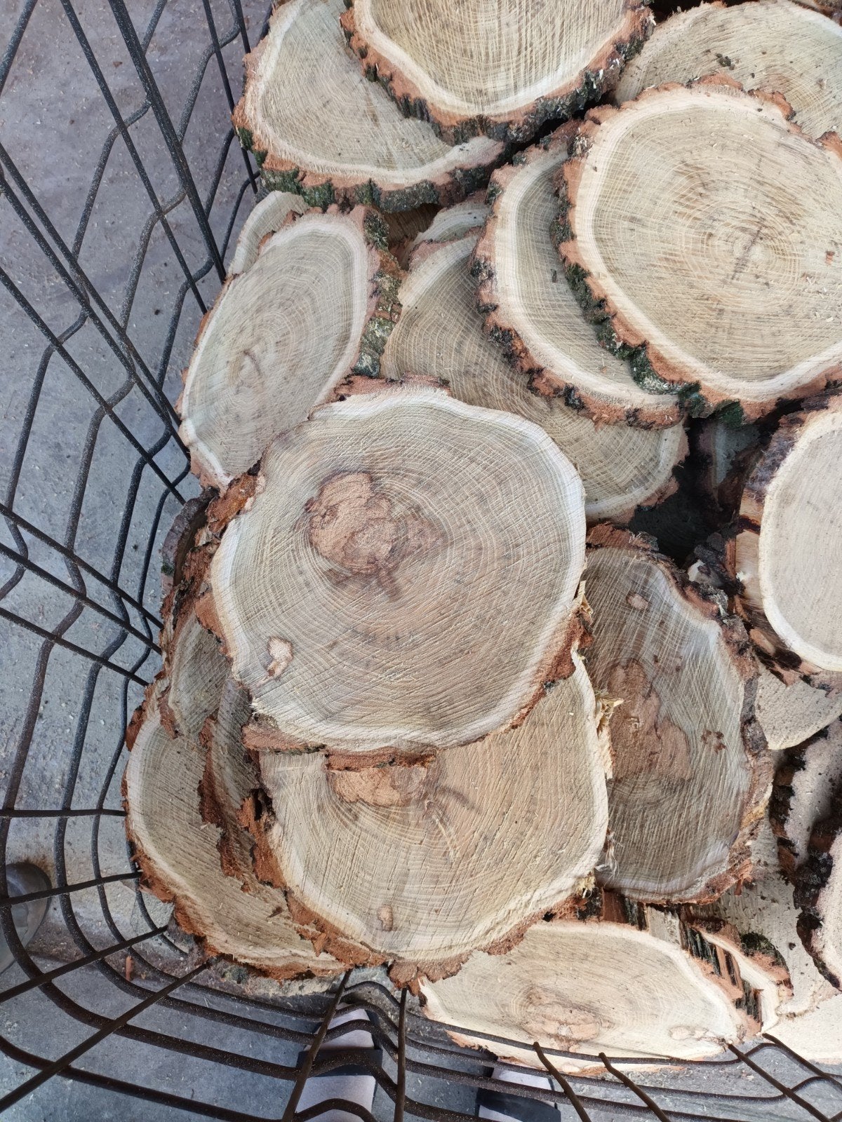 acacia hout schijven houtschijven boomschijven, Ophalen, 25 tot 50 mm, Overige typen, Nieuw