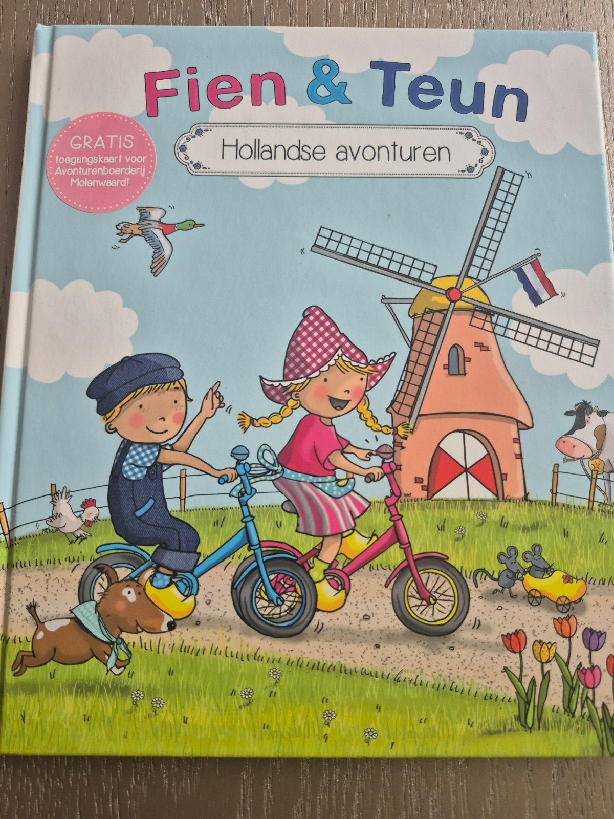 Fien en teun leesboek Witte Leeuw - Hollandse avonturen, 3 tot 4 jaar, Nieuw, Ophalen of Verzenden, Witte Leeuw; Van Hoorne
