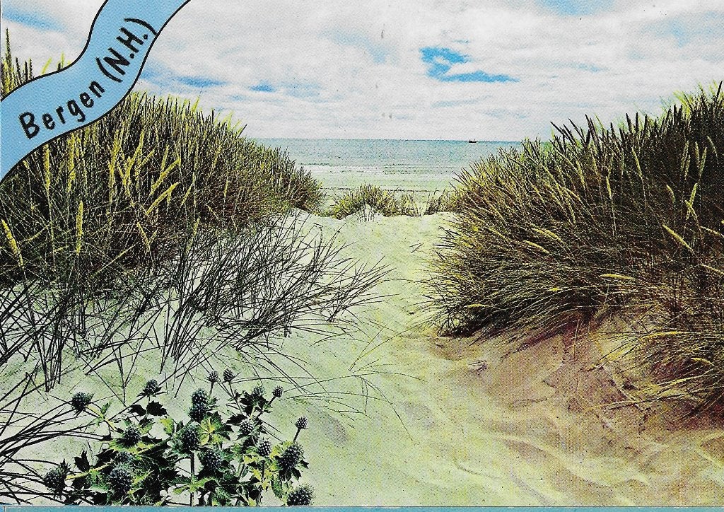 N21 ongelopen ansichtkaart bergen noord holland, Ophalen of Verzenden, 1980 tot heden, Gelopen, Noord-Holland