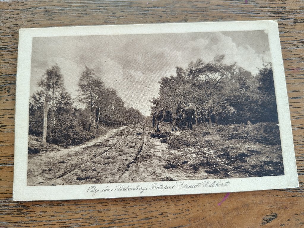 Bij de Aakenberg Elspeet Hulshorst, Ophalen of Verzenden, Voor 1920, Noord-Brabant