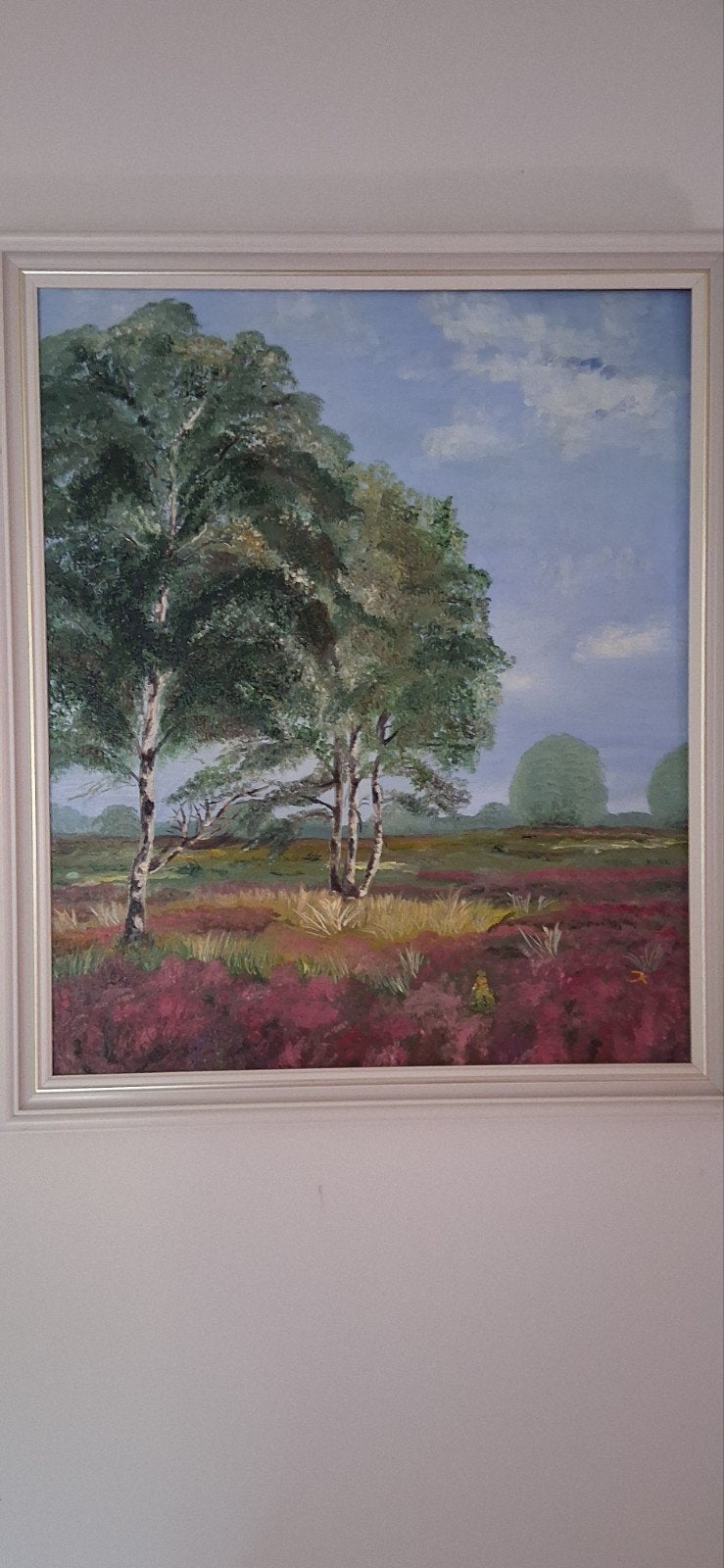 Bloeiende Drentse hei onder toeziend oog van Berkebomen, Ophalen, Doek, Realistisch, Landschap