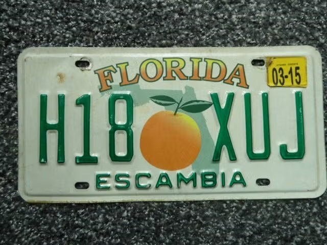 Kentekenplaat licenseplate Florida Escambia USA, Verzenden, Gebruikt, Auto's