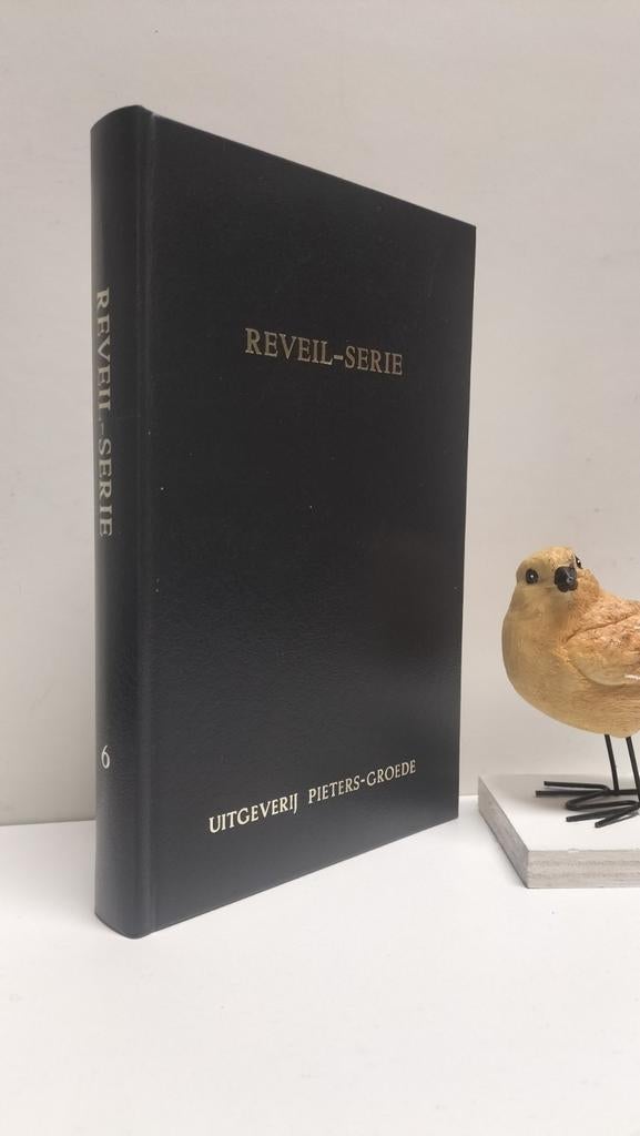 Reveil Serie deel 6, Boeken, Godsdienst en Theologie, Gelezen, Christendom | Protestants, Ophalen of Verzenden
