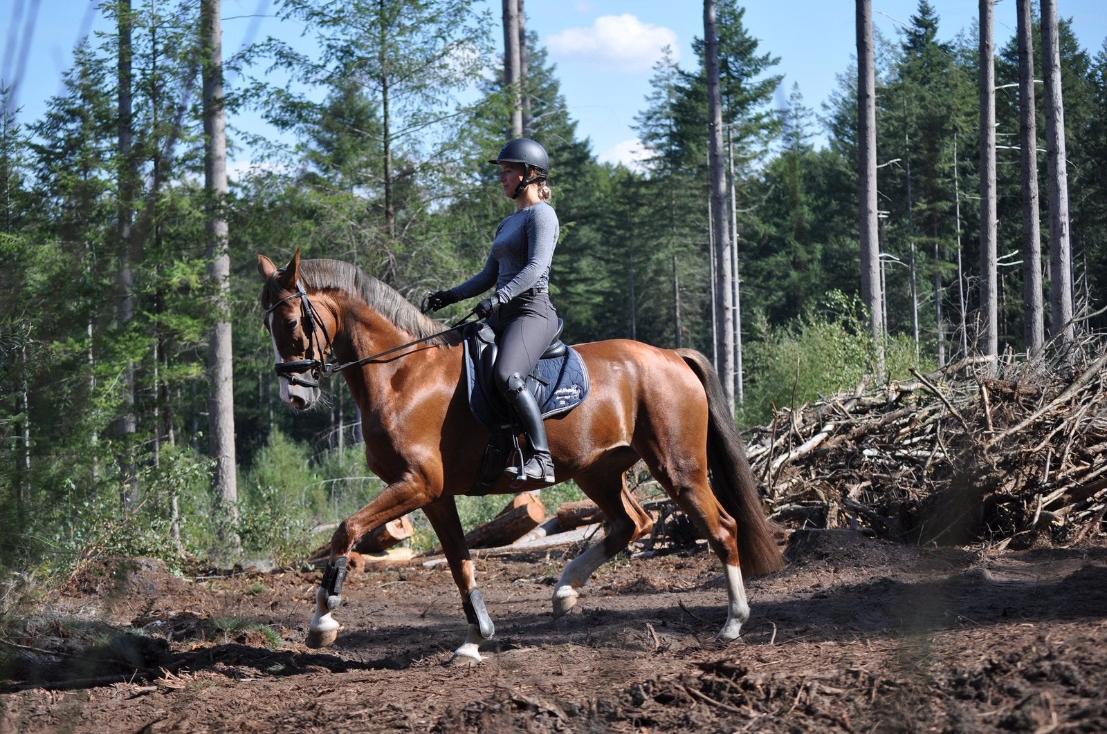 Onwijs vrolijke merrie te koop, Dieren en Toebehoren, Paarden, Merrie, M, Dressuurpaard, 7 tot 10 jaar