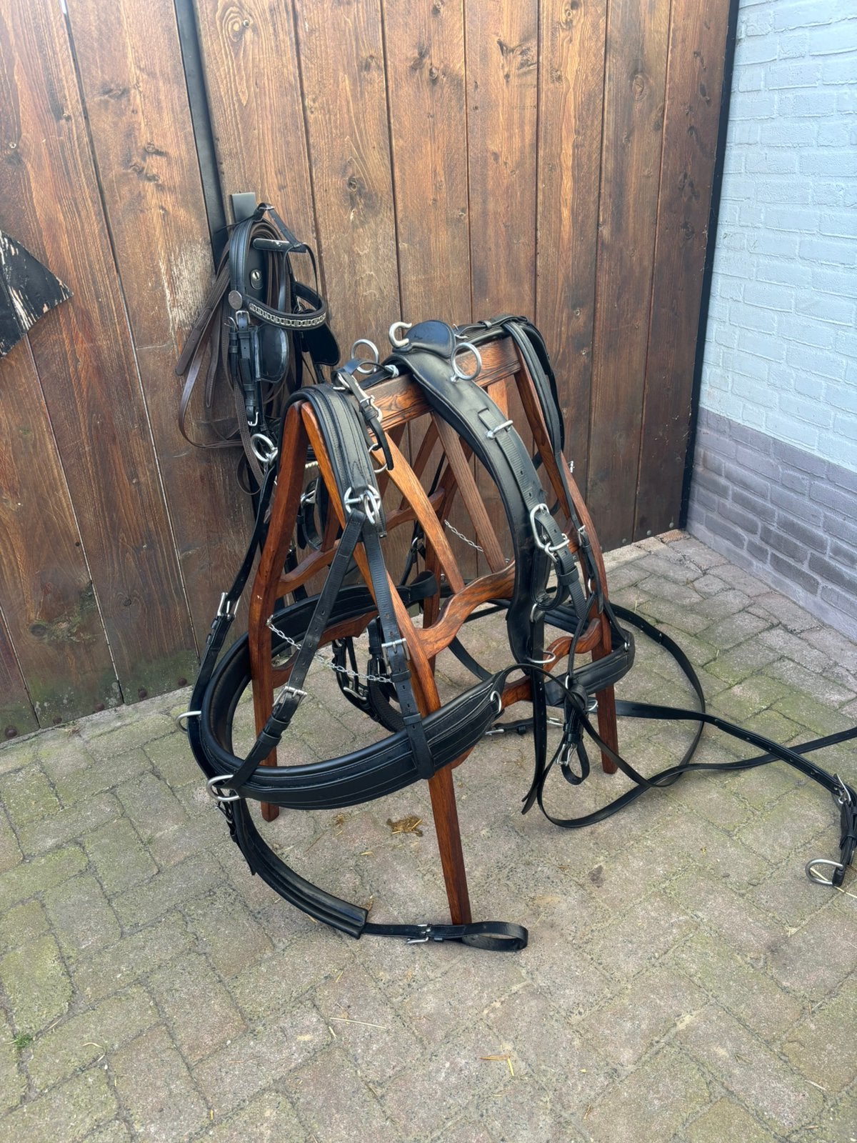 enkelspan tuig kiefer, Overige disciplines, Mentuig, Ophalen of Verzenden, Verstelbaar
