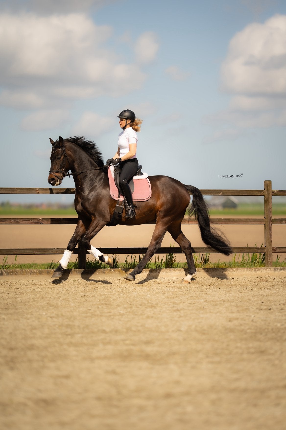 Te koop zeer lieve 7 jarige ruin!, Dieren en Toebehoren, Paarden, Met stamboom, Ruin, M, Dressuurpaard