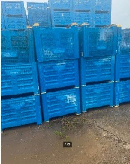 Kratten,bakken geperforeerd v.o.a opslag te koop of te huur, Ophalen, Nieuw