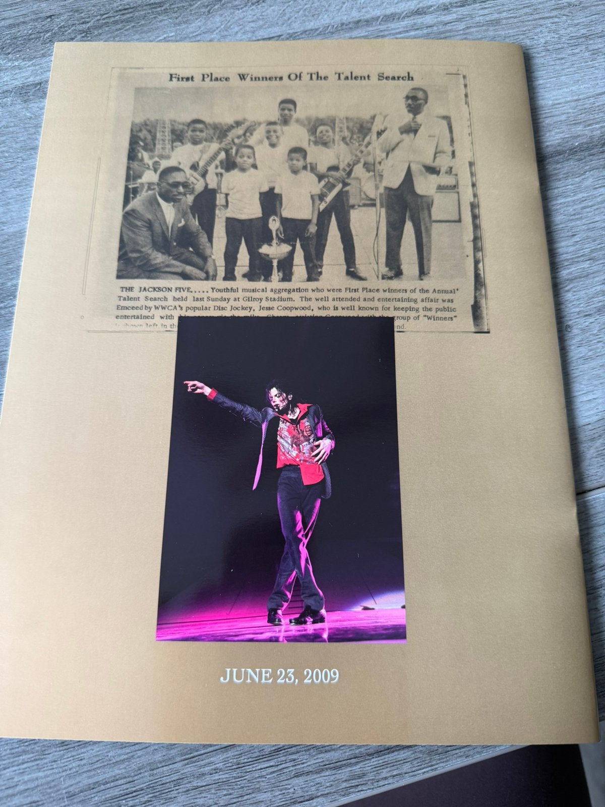 Michael jackson boeken en uniek ticket, Ophalen, Zo goed als nieuw, Boek, Tijdschrift of Artikel