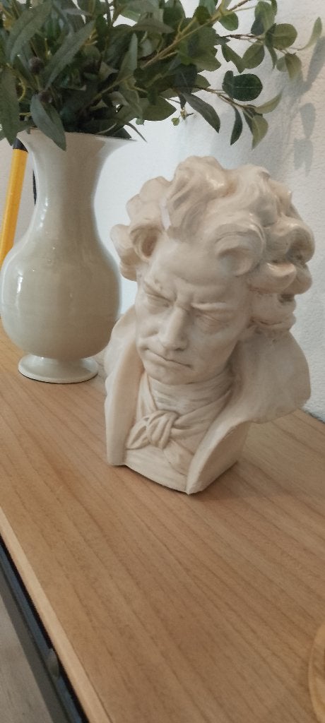 borstbeeld, Antiek en Kunst, Kunst | Beelden en Houtsnijwerken, Ophalen, Beeld