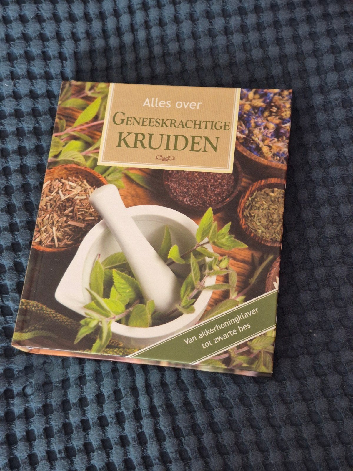 Alles over Geneeskrachtige Kruiden, Boeken, Ophalen of Verzenden, Zo goed als nieuw, Kruiden en Alternatief