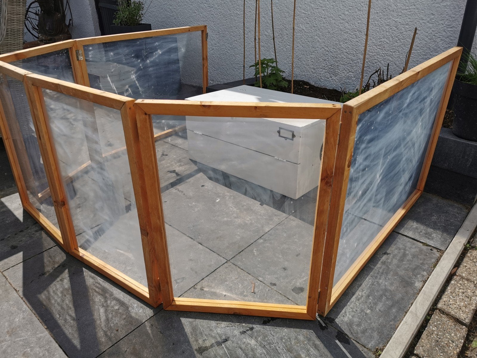 kattenpension plexiglas en werpkist, Meerdere dieren