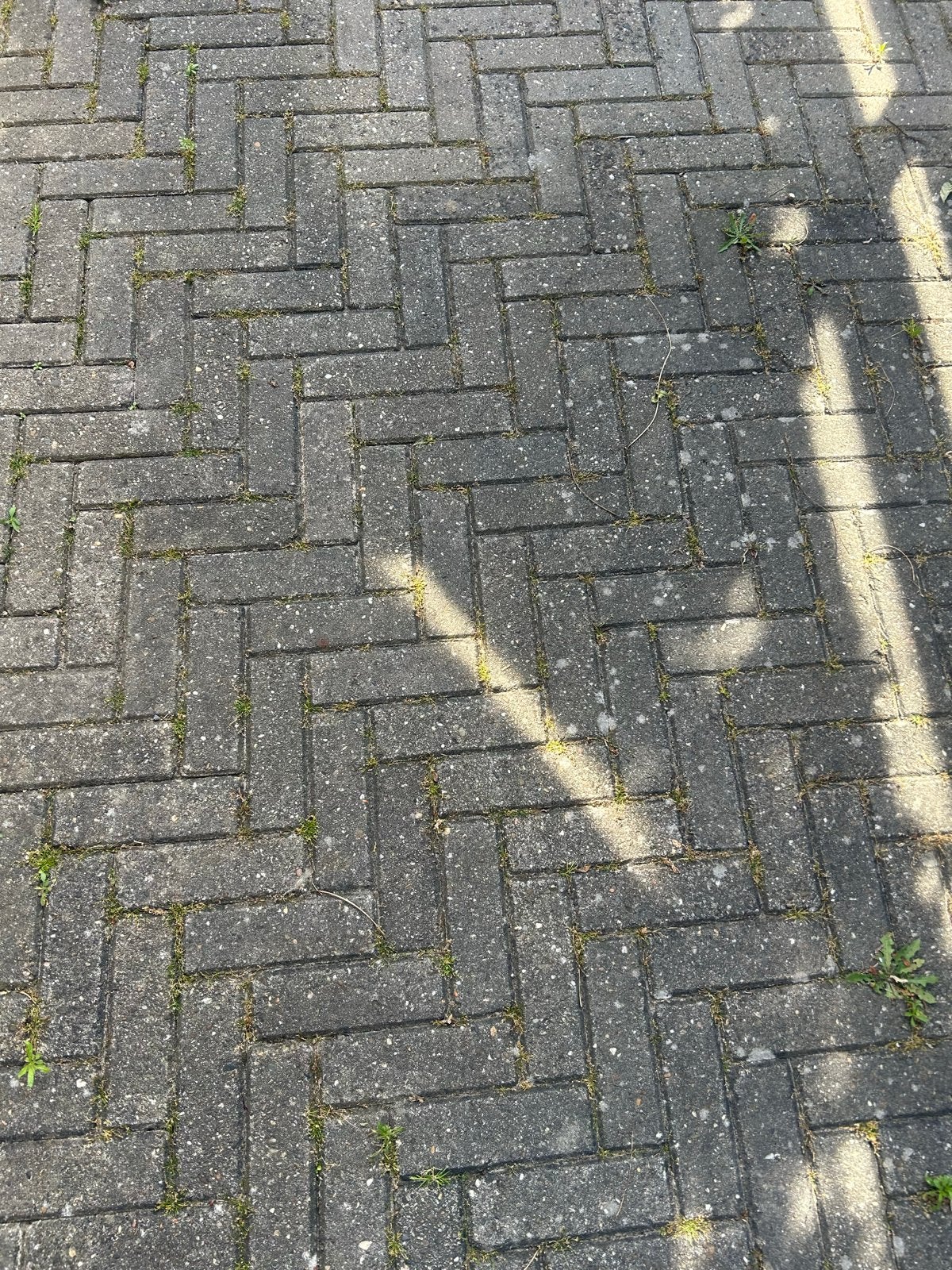 Geld toe!!!  44 m2 grijze bss DF opbrenken en meenemen, Tuin en Terras, Ophalen, Gebruikt, Klinkers, 10 m² of meer