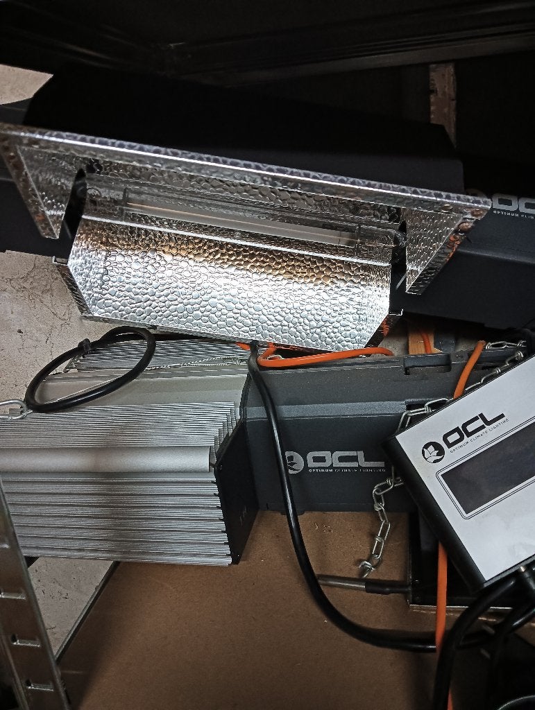 Ocl 1000 watt lampen, Ophalen, Zo goed als nieuw, Kweeklamp