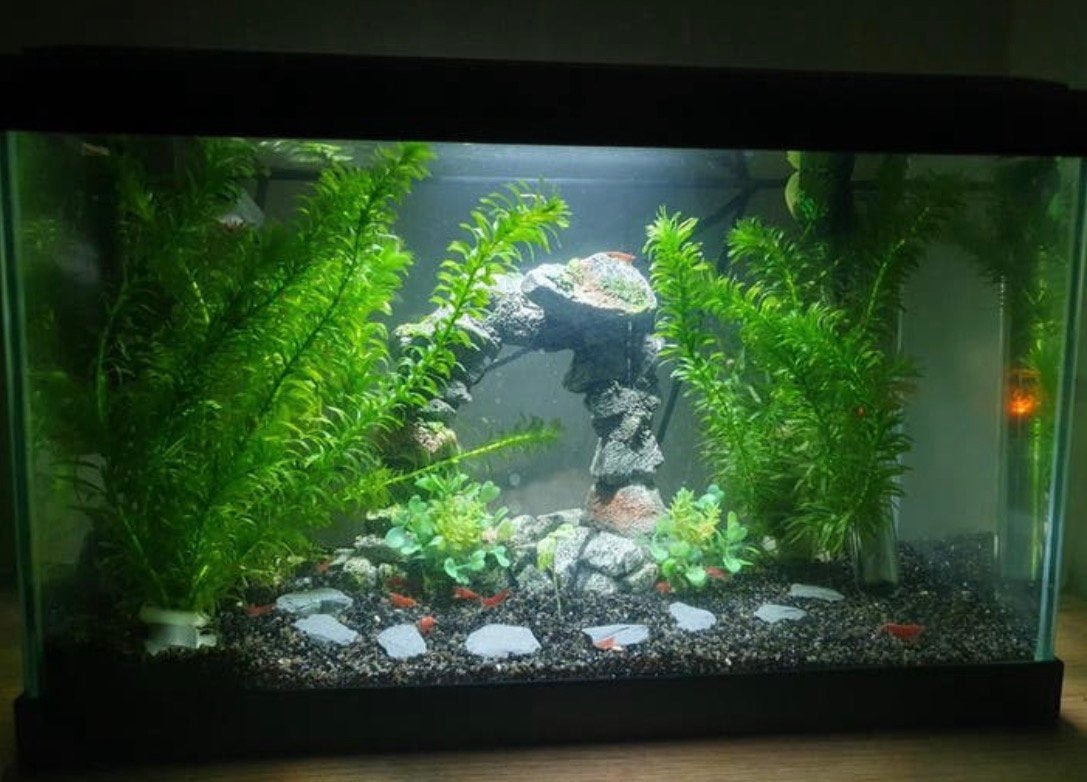 Aquarium met thermostaat filter en licht, Dieren en Toebehoren, Ophalen, Zo goed als nieuw, Leeg aquarium