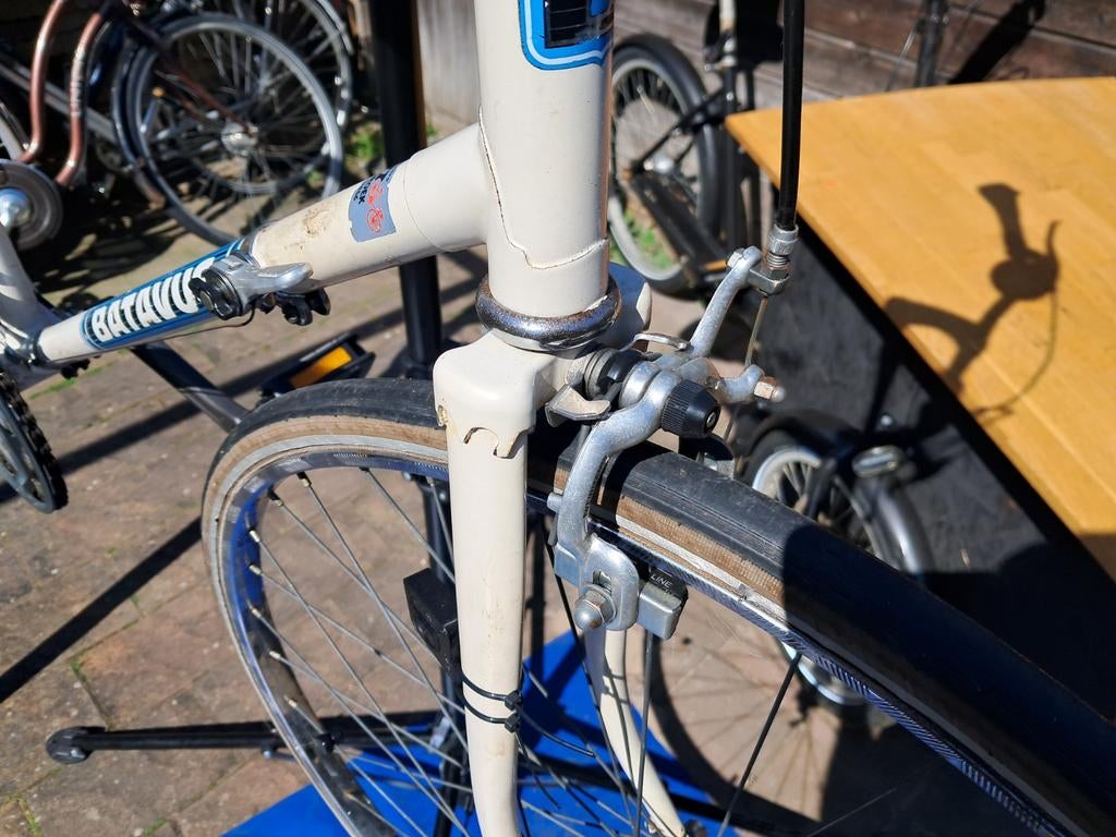 Batavus champignon 10 versn. Framemaat 60, 59 cm of meer, Ophalen, Gebruikt, Batavus