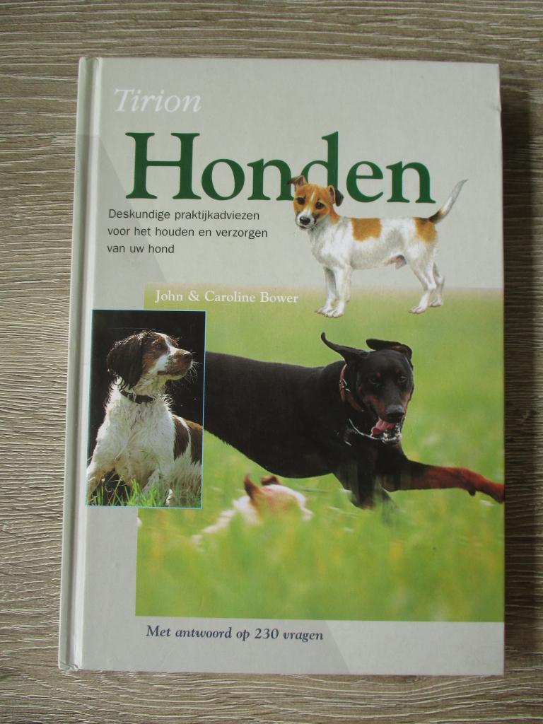 Honden; Deskundige praktijkadviezen voor het houden en ver, Ophalen of Verzenden, Gelezen, Honden