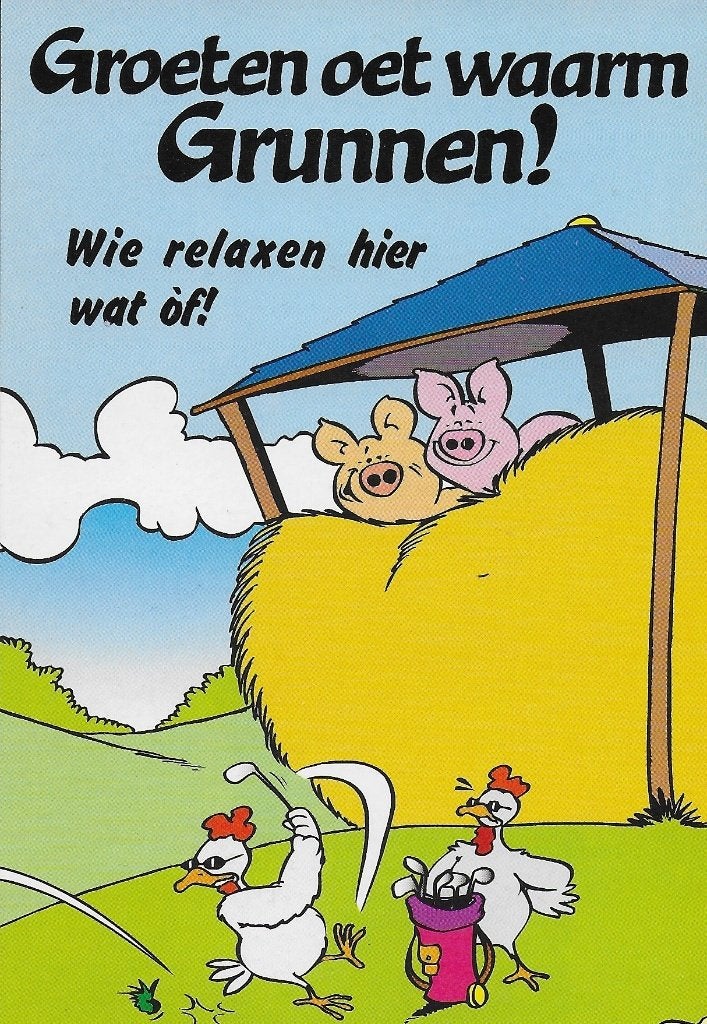 Ch302 gelopen ansichtkaart groet oet waarm grunnen groningen, Ophalen of Verzenden, 1980 tot heden, Gelopen, Groningen