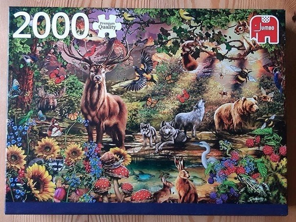 Jumbo Puzzel, Magisch bos bij zonsondergang, 2000 stukjes, Ophalen of Verzenden, Meer dan 1500 stukjes, Zo goed als nieuw, Legpuzzel