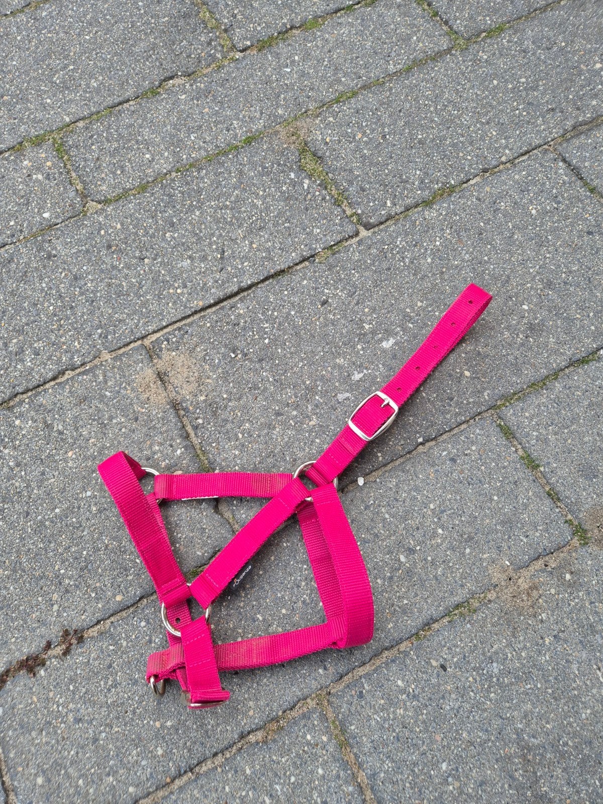 Halster te koop, Ophalen of Verzenden, Gebruikt