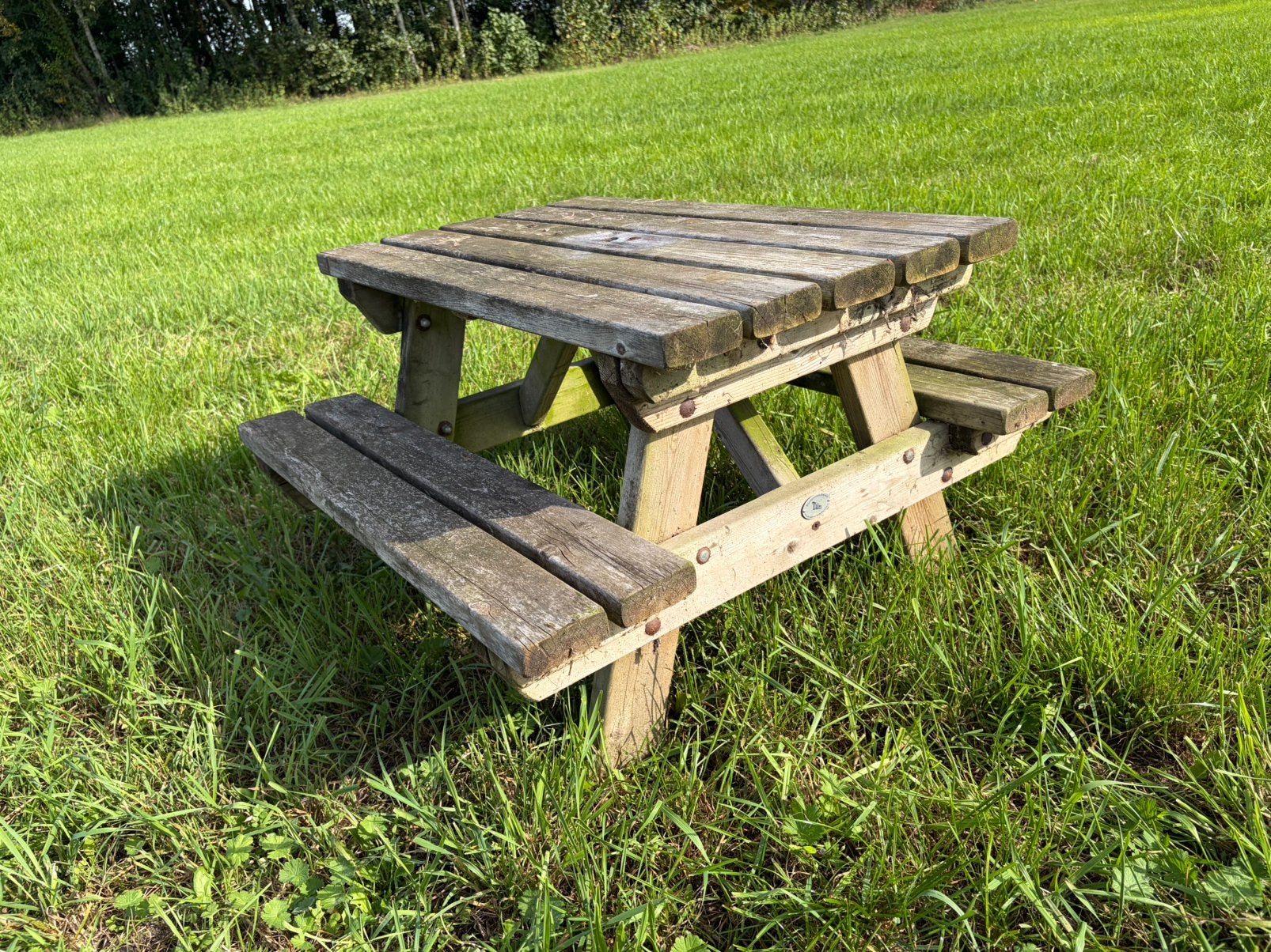 Kinder picknicktafel, Kinderpicknicktafel, Gebruikt, Ophalen of Verzenden, Rechthoekig
