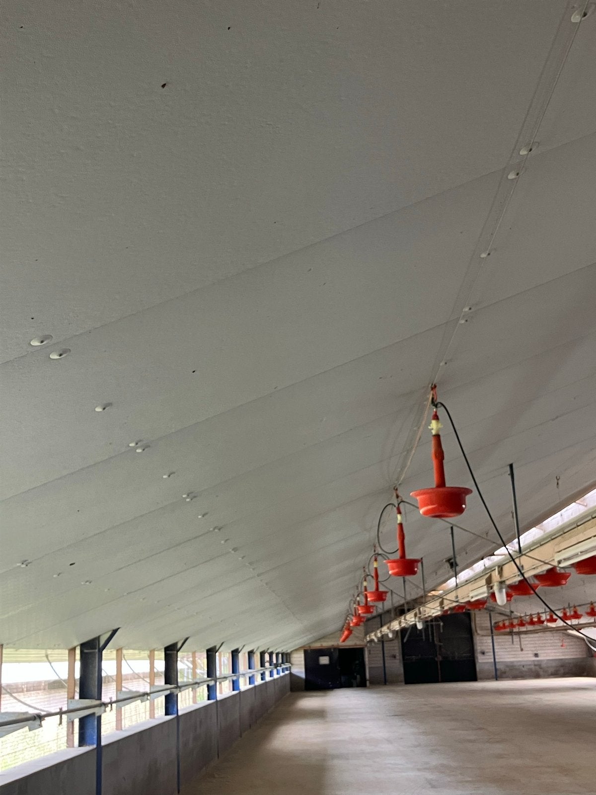 4700 m2 Gebruikte EPS Isolatieplaten met Aluminium Folie, Ophalen, Dakisolatie, 4 tot 8 cm, Gebruikt