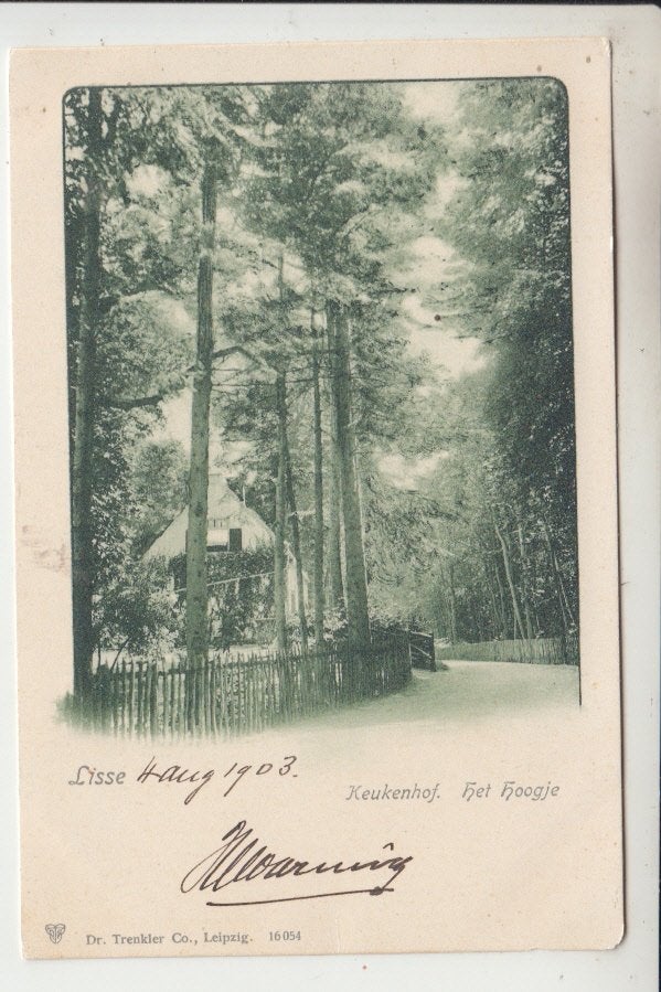 Lisse, Keukenhof - Het Hoogje, Ophalen of Verzenden, Voor 1920, Gelopen, Zuid-Holland