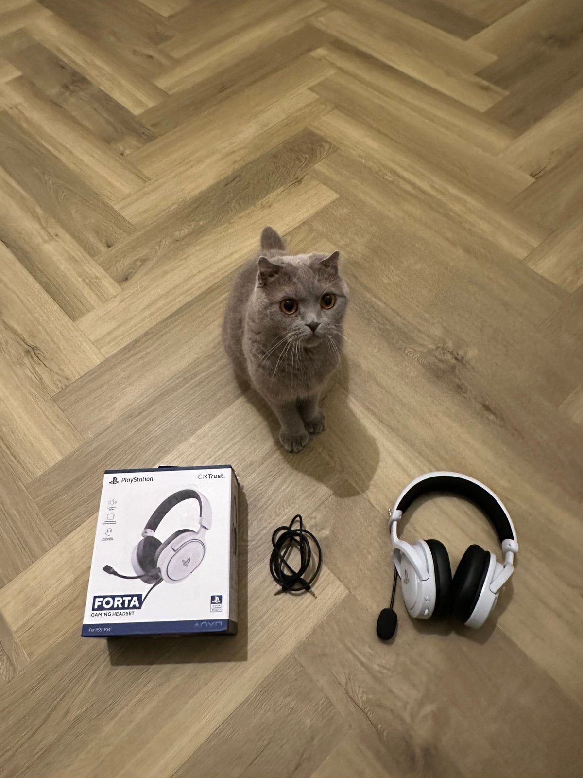 Trust Forta Headset Console/PC
