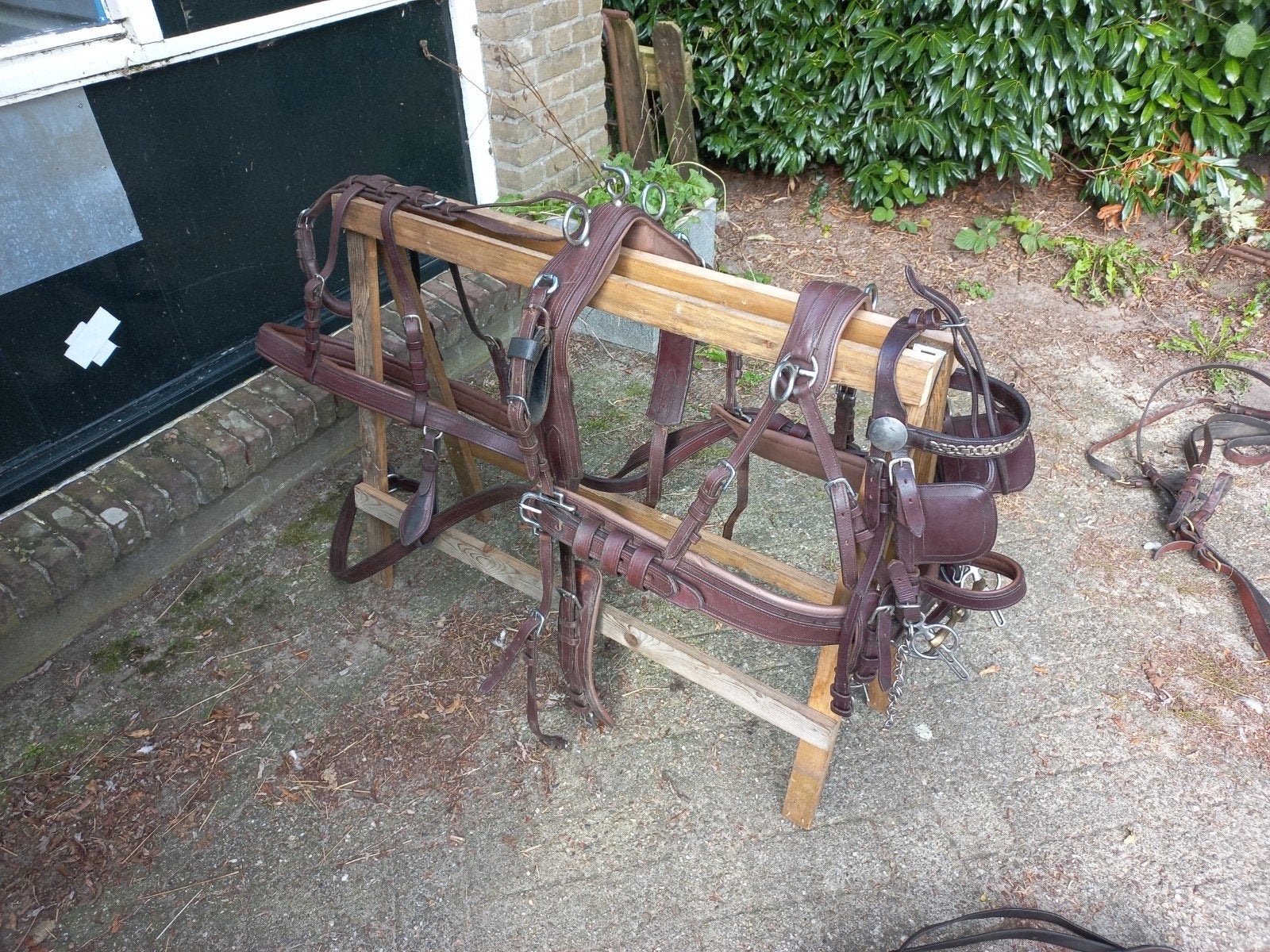 enkelspan pony tuig, Inclusief teugels, Overige disciplines, Bruin, Pony