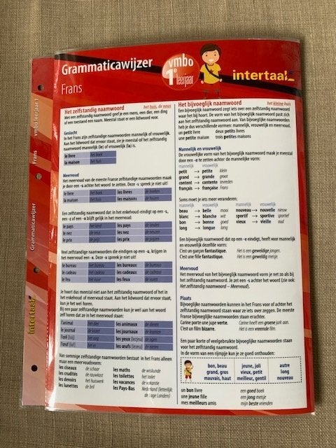 Grammatcicawijzer Frans VMBO 1e jaar Intertaal, Boeken, Studieboeken en Cursussen, Ophalen of Verzenden, Alpha, Zo goed als nieuw