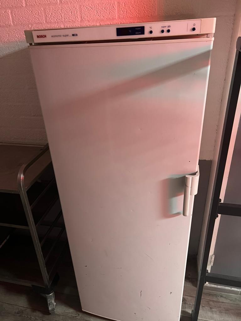 Bosch vriezer, Witgoed en Apparatuur, Vriezers en Diepvrieskisten, Ophalen of Verzenden, Gebruikt, 60 tot 90 cm, 160 cm of meer