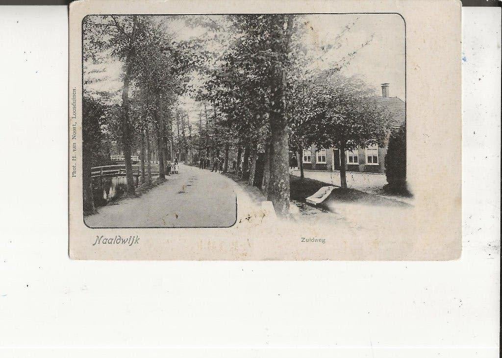 Naaldwijk Zuidweg met kwakeltjes 3 nov. 1902, Ophalen of Verzenden, Voor 1920, Gelopen, Zuid-Holland