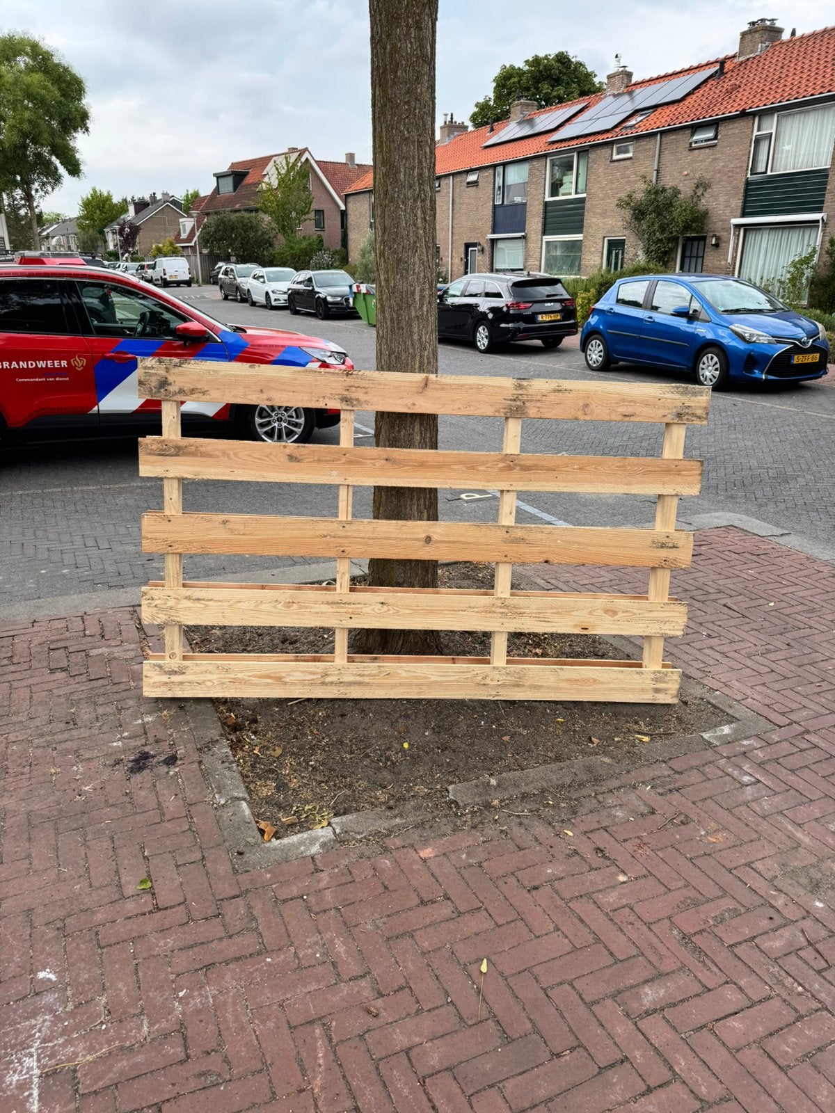 Gratis pallet, Ophalen, Zo goed als nieuw, Minder dan 200 cm, Vuren