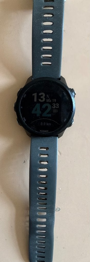 Garmin Forerunner 245, Zwart, Garmin, Ophalen of Verzenden, Stappen