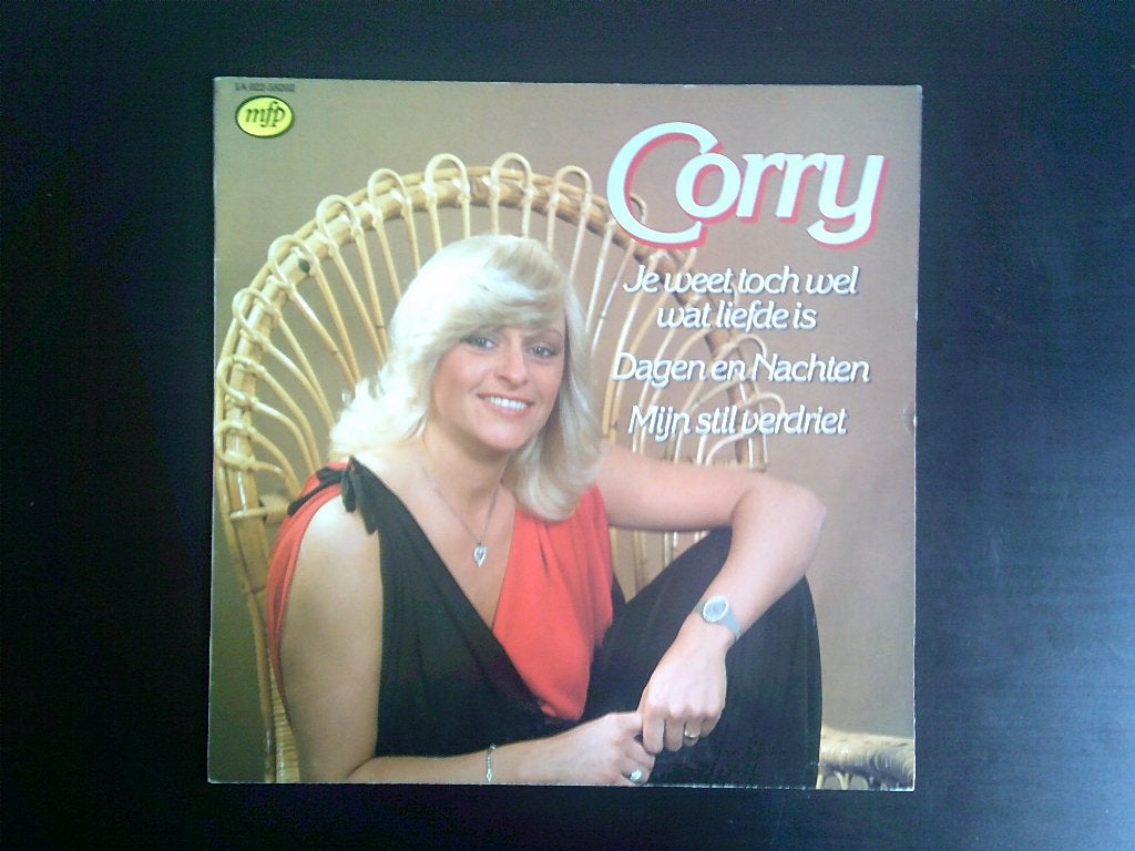Foto 11 van volle platenkoffer met nederlandse lp,s