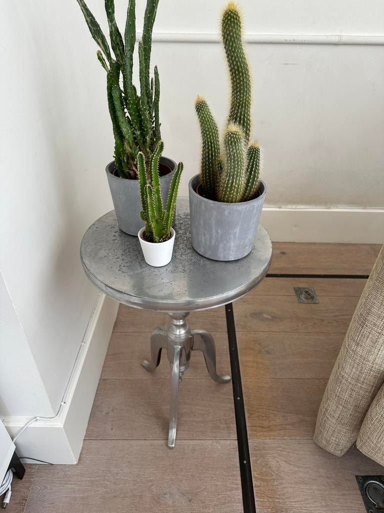 Zilveren bijzettafeltje, Huis en Inrichting, Ophalen, Minder dan 55 cm, Gebruikt, Metaal of Aluminium